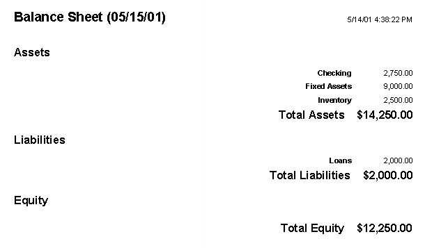 MS Access Balance Sheet for lawn landscape pest control sales in Dallas Collin TX
