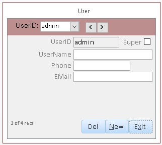 User form for Access 2007-2019 database security